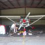 Aviatrix (4)